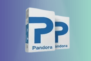 Pandora 2 month